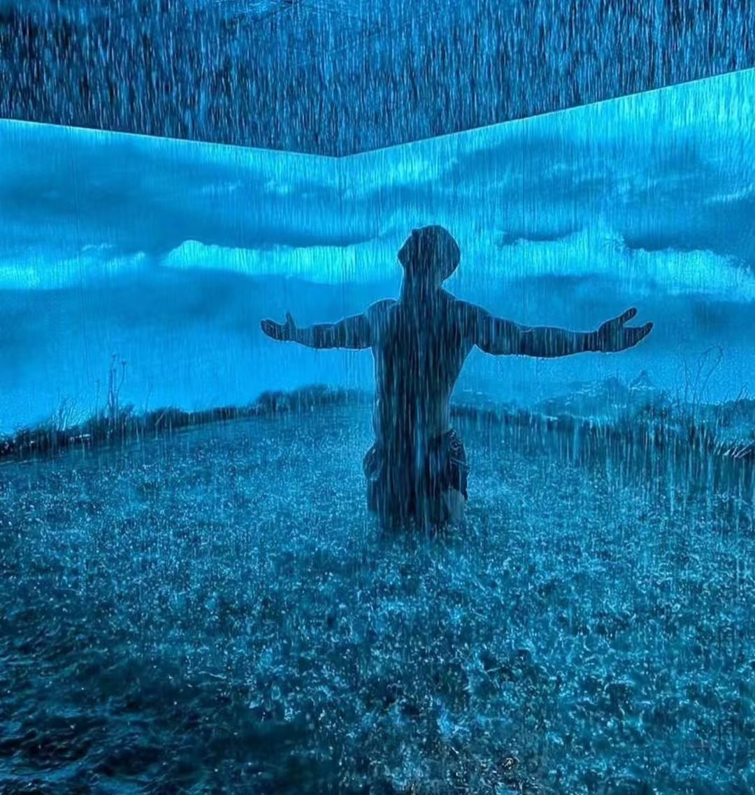 1764640377691674.jpg 2025_12_02_09_49_IMG_6385.JPG